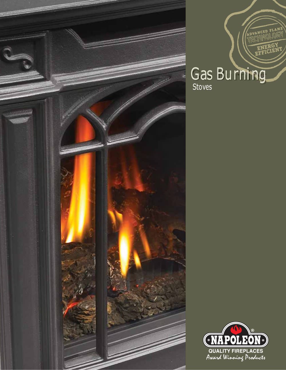 Napoleon Fireplaces - 25860
