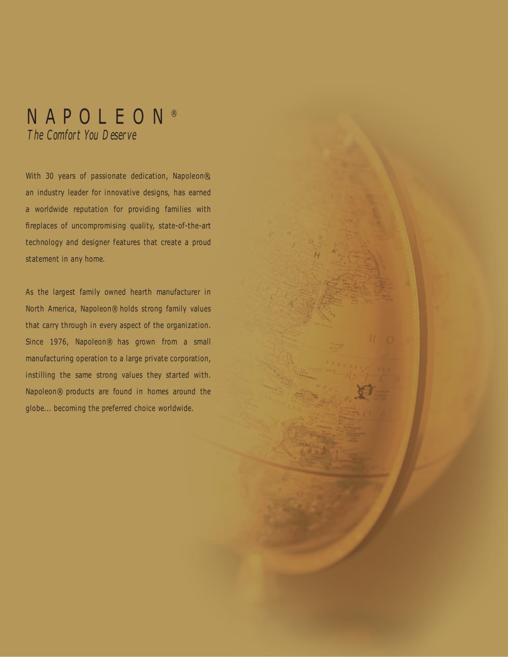Napoleon Fireplaces - 25749