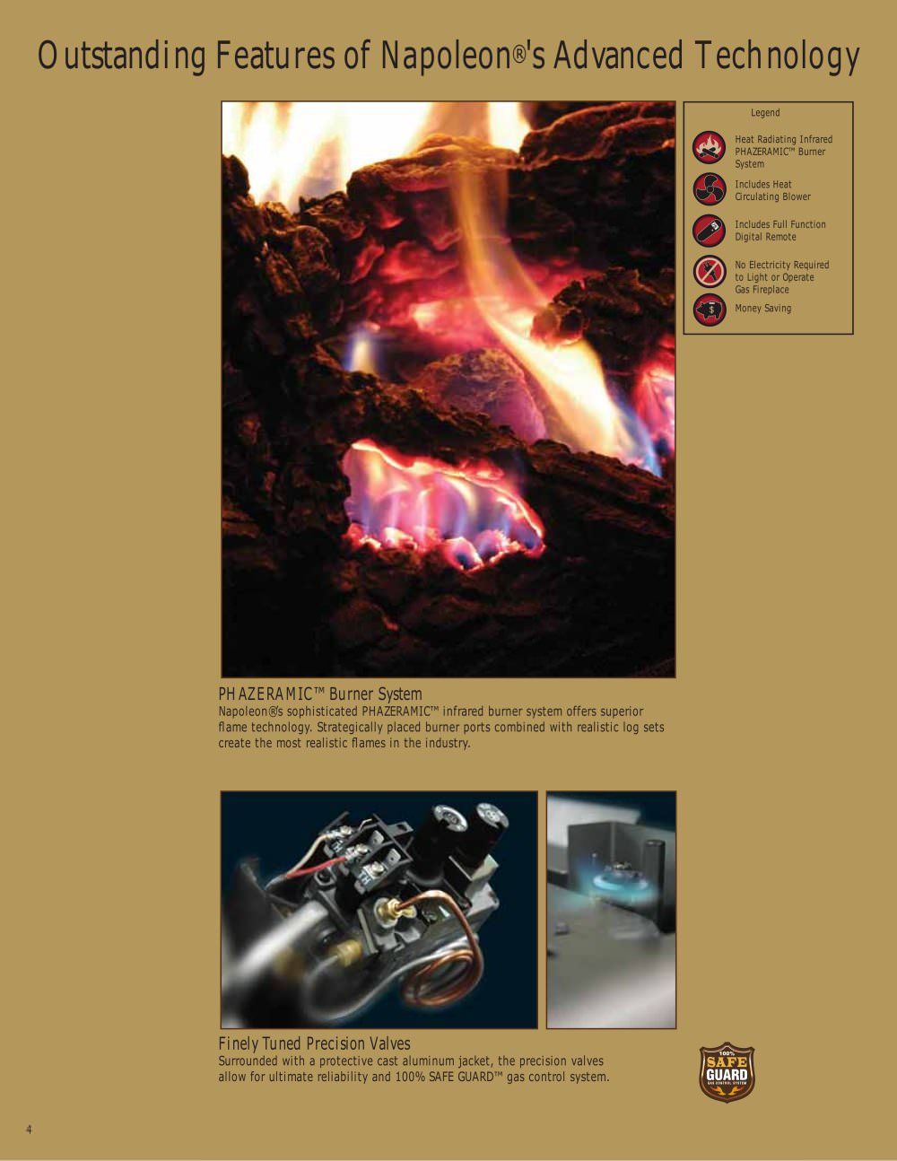 Napoleon Fireplaces - 