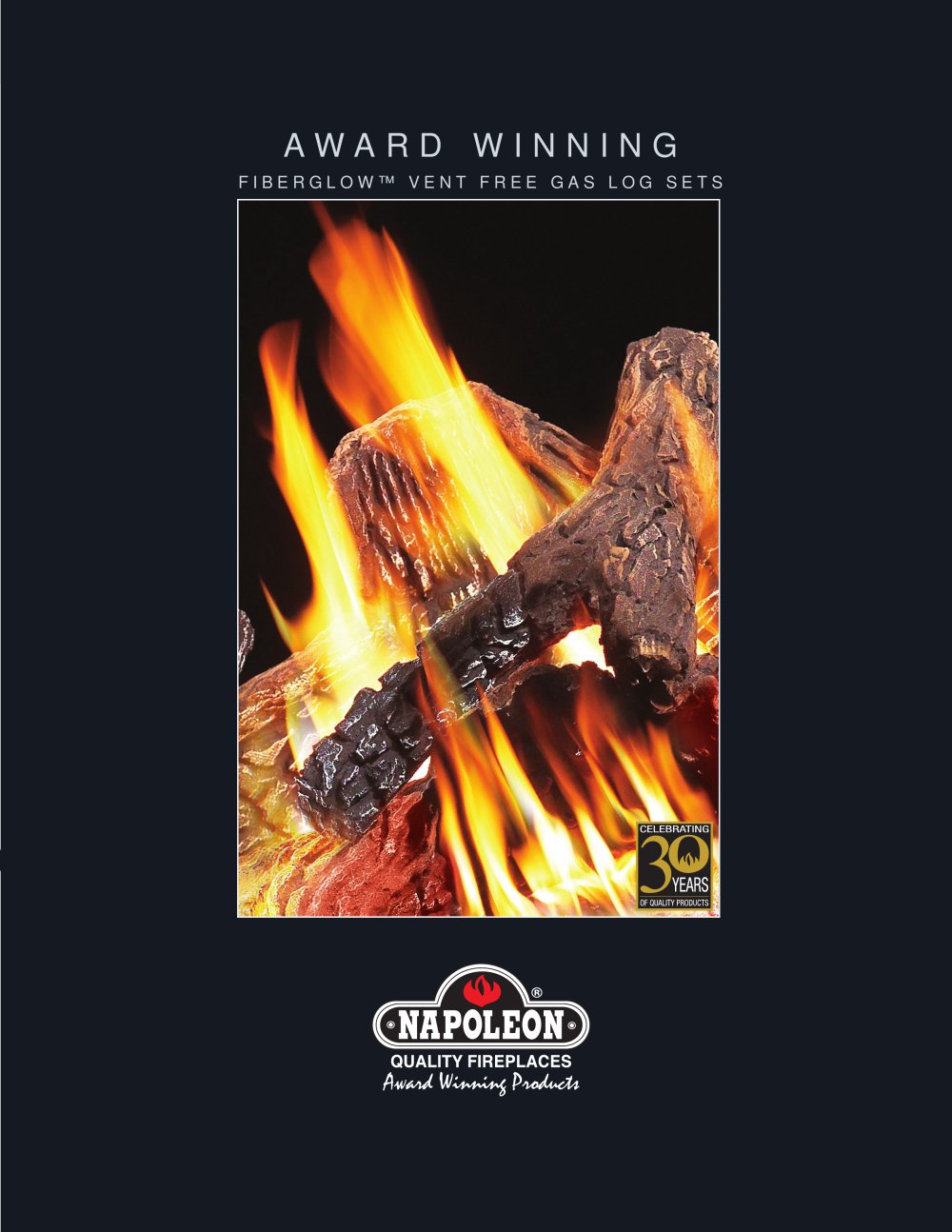Napoleon Fireplaces - 