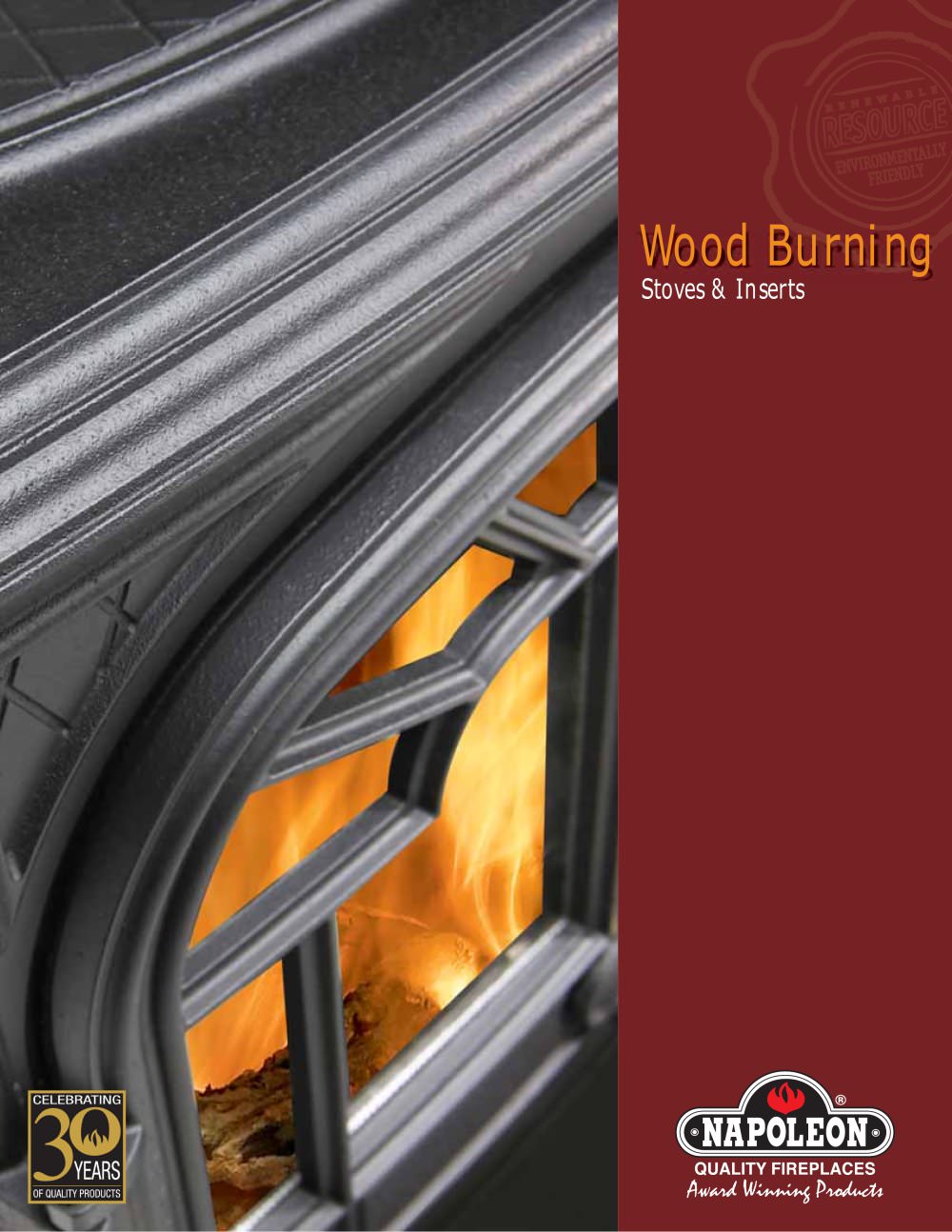 Napoleon Fireplaces - 25860