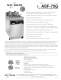 Commercial gas fryer