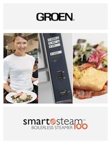 SmartSteam100 Boilerless Steamer 