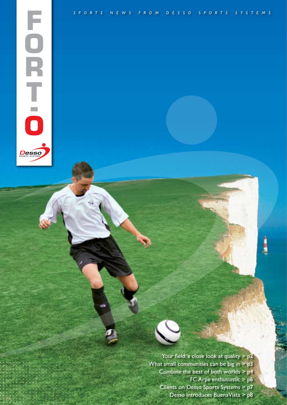Desso Sports Systems - 