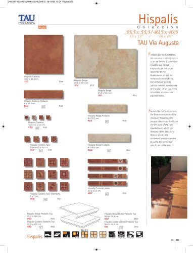 Floor Tiles 2009