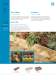 Garden landscaping collection