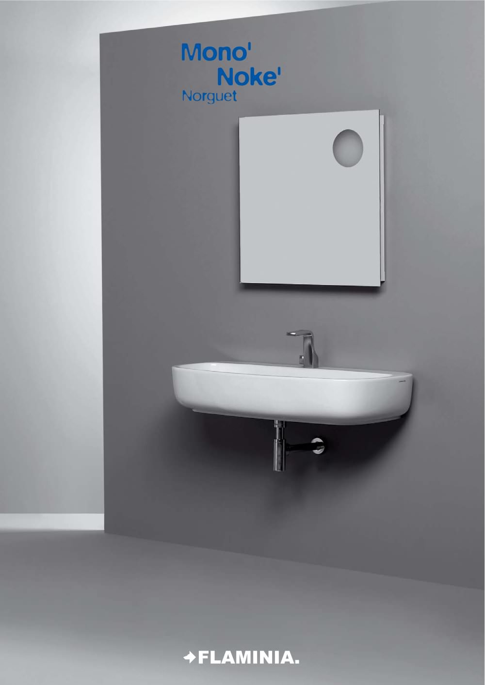 FLAMINIA - 