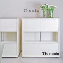 thesis