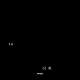 Bocci Standard