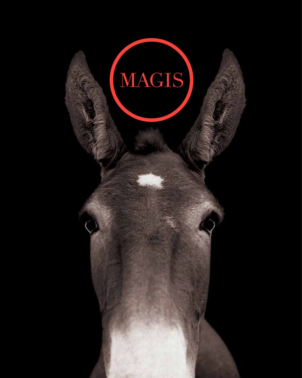 MAGIS - 