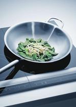 Built In 2009 - Hobs