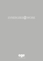 SYNERGIES@WORK