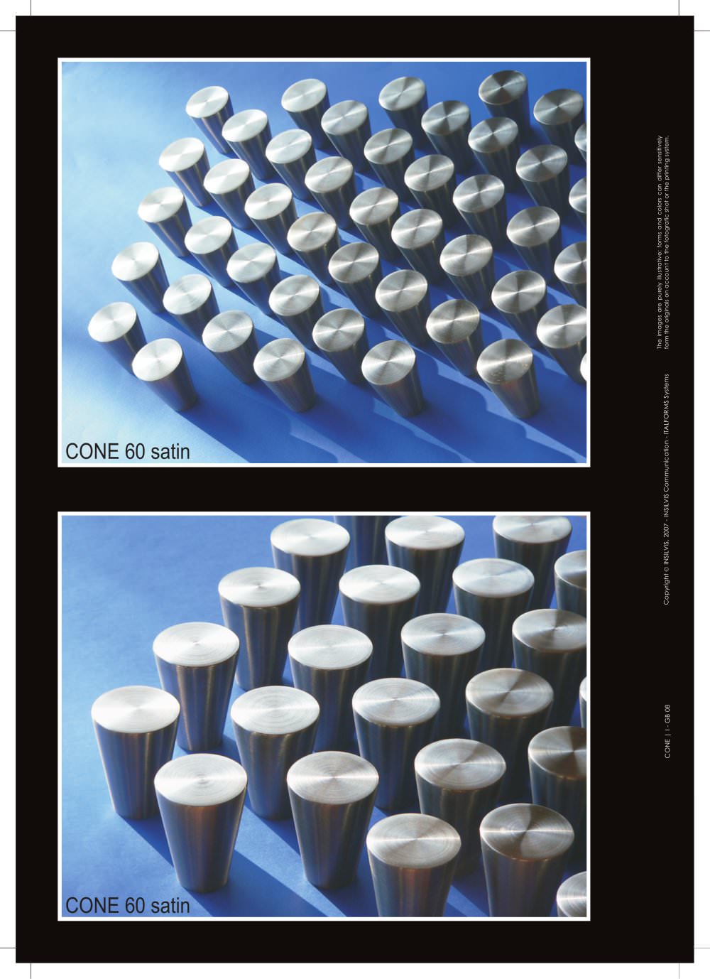 INSILVIS - 