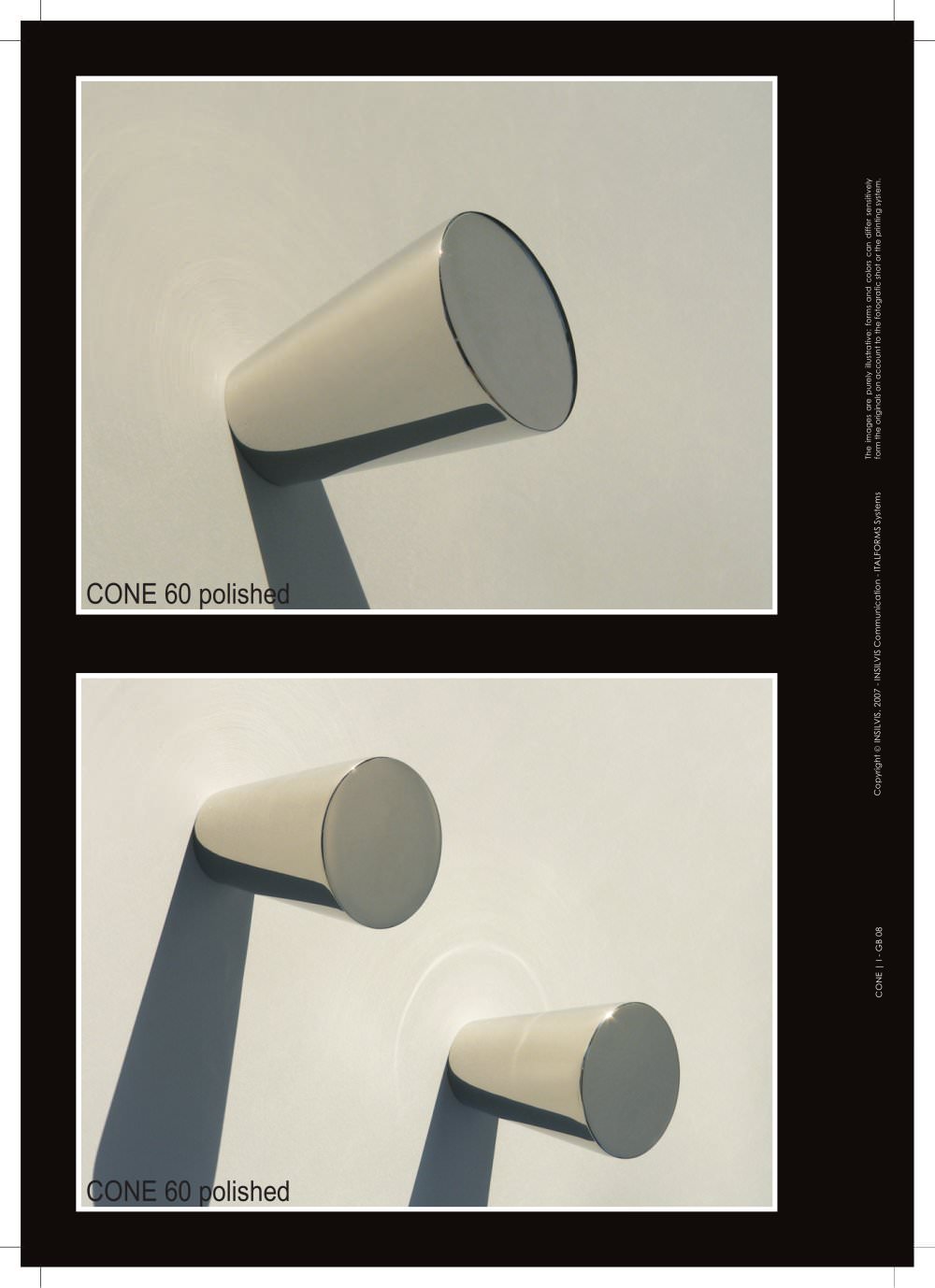 INSILVIS - 