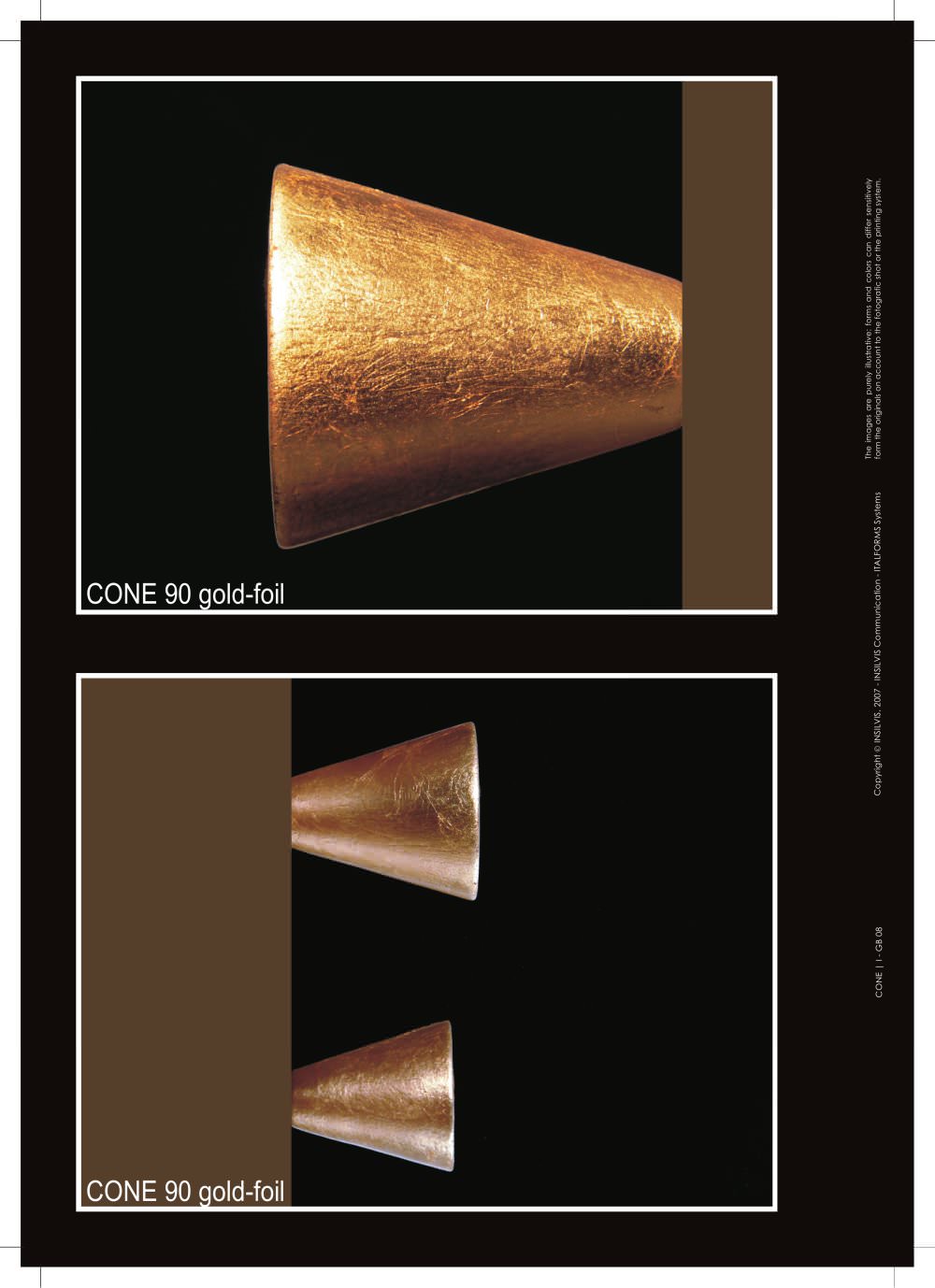 INSILVIS - 