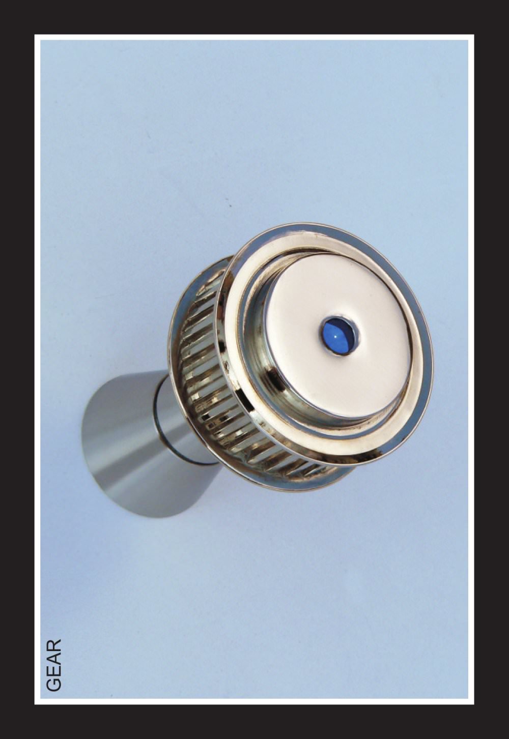 INSILVIS - 