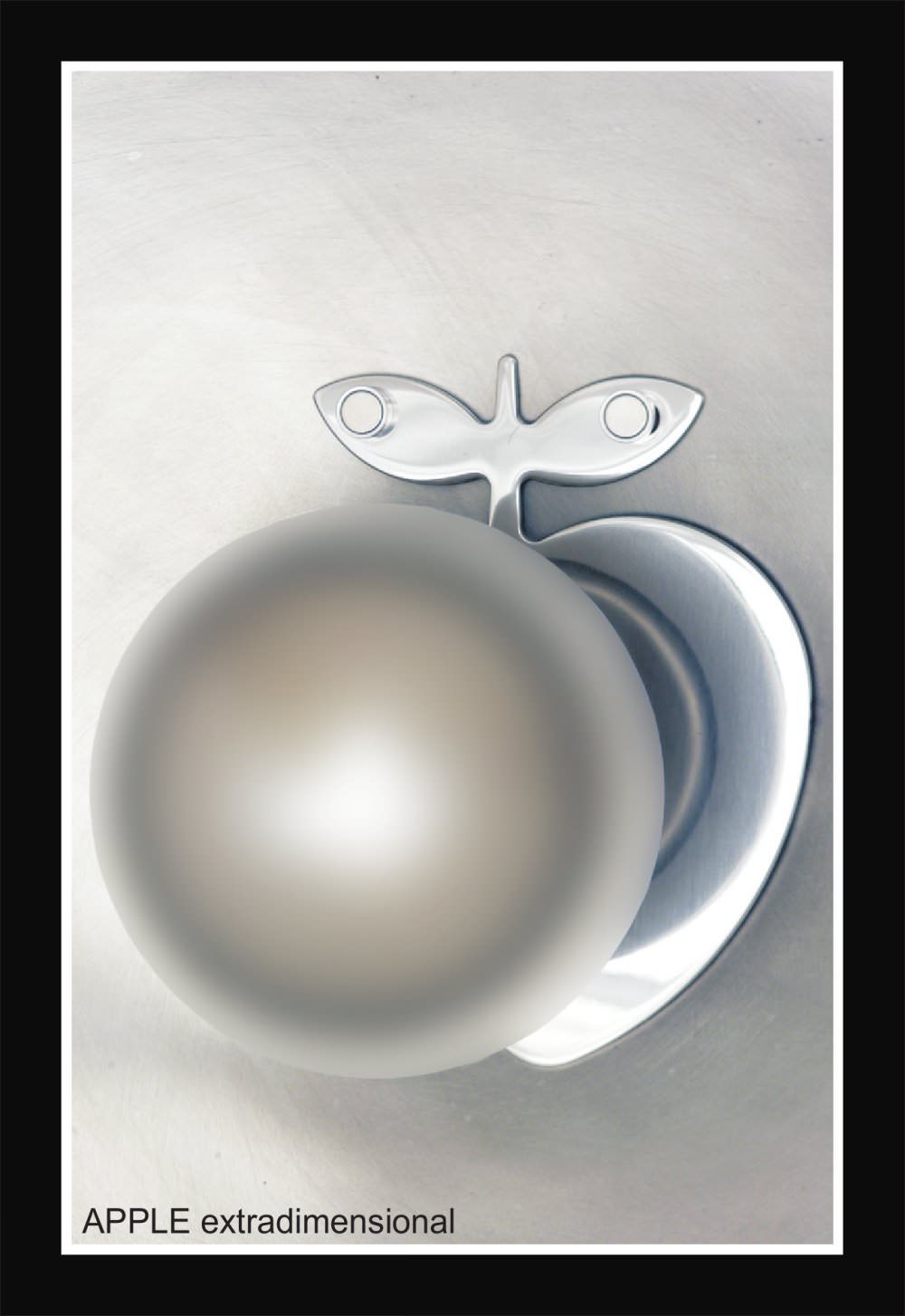 INSILVIS - 