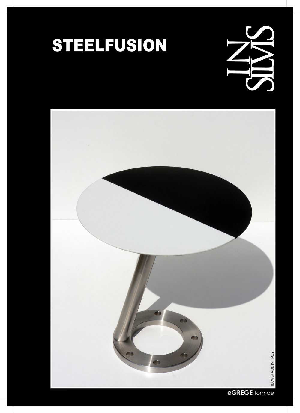 INSILVIS - 
