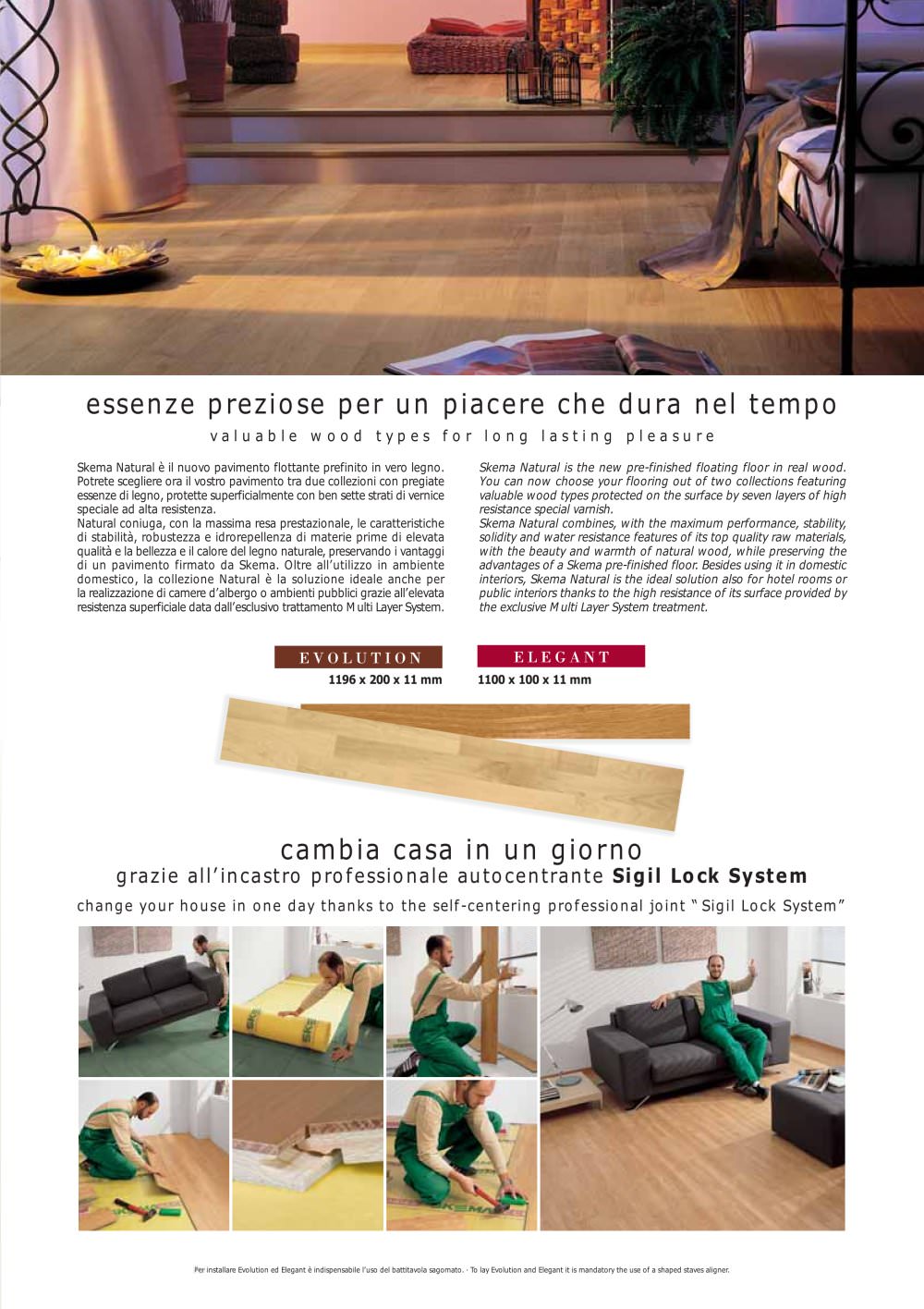 SKEMA - 