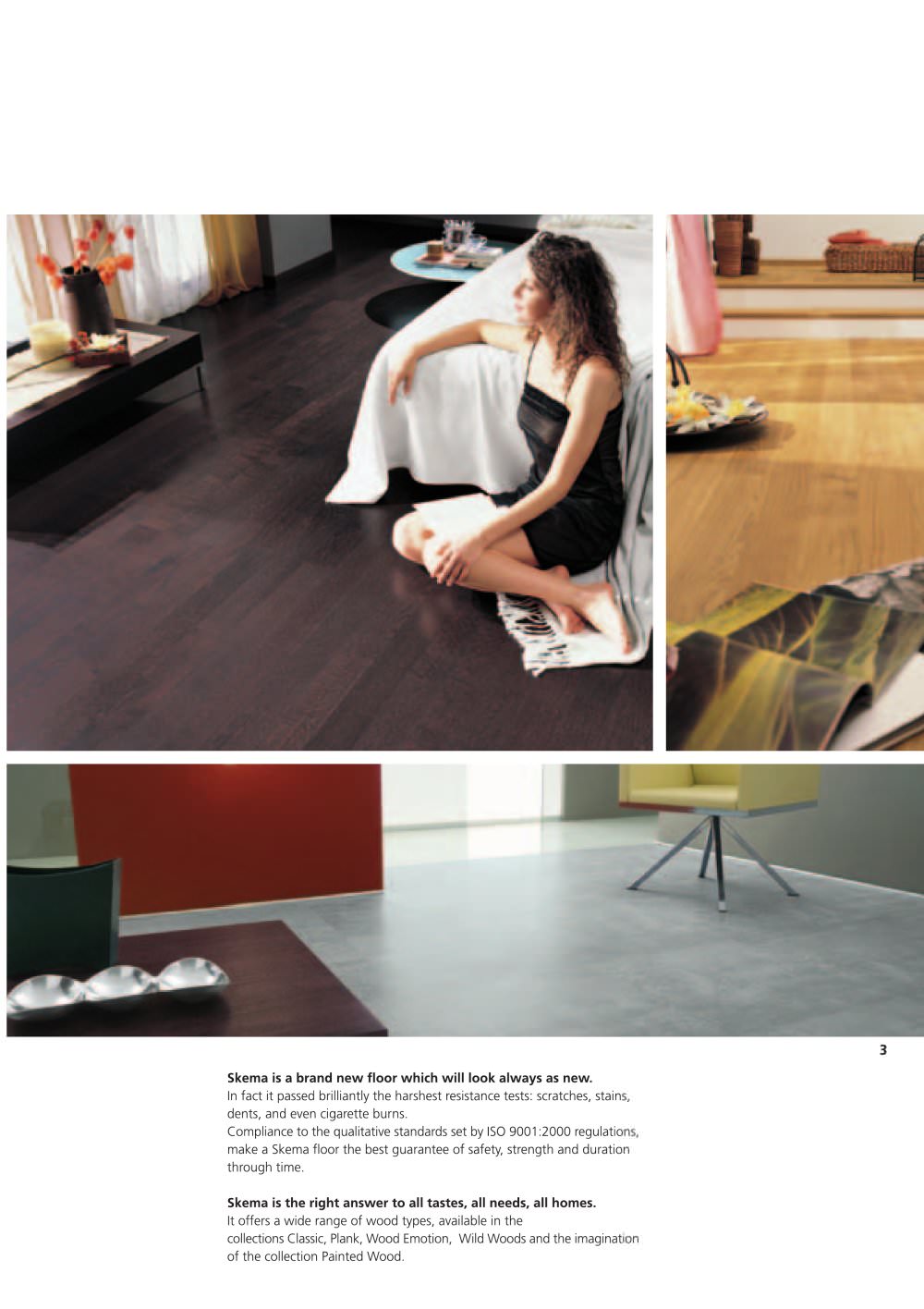 SKEMA - 