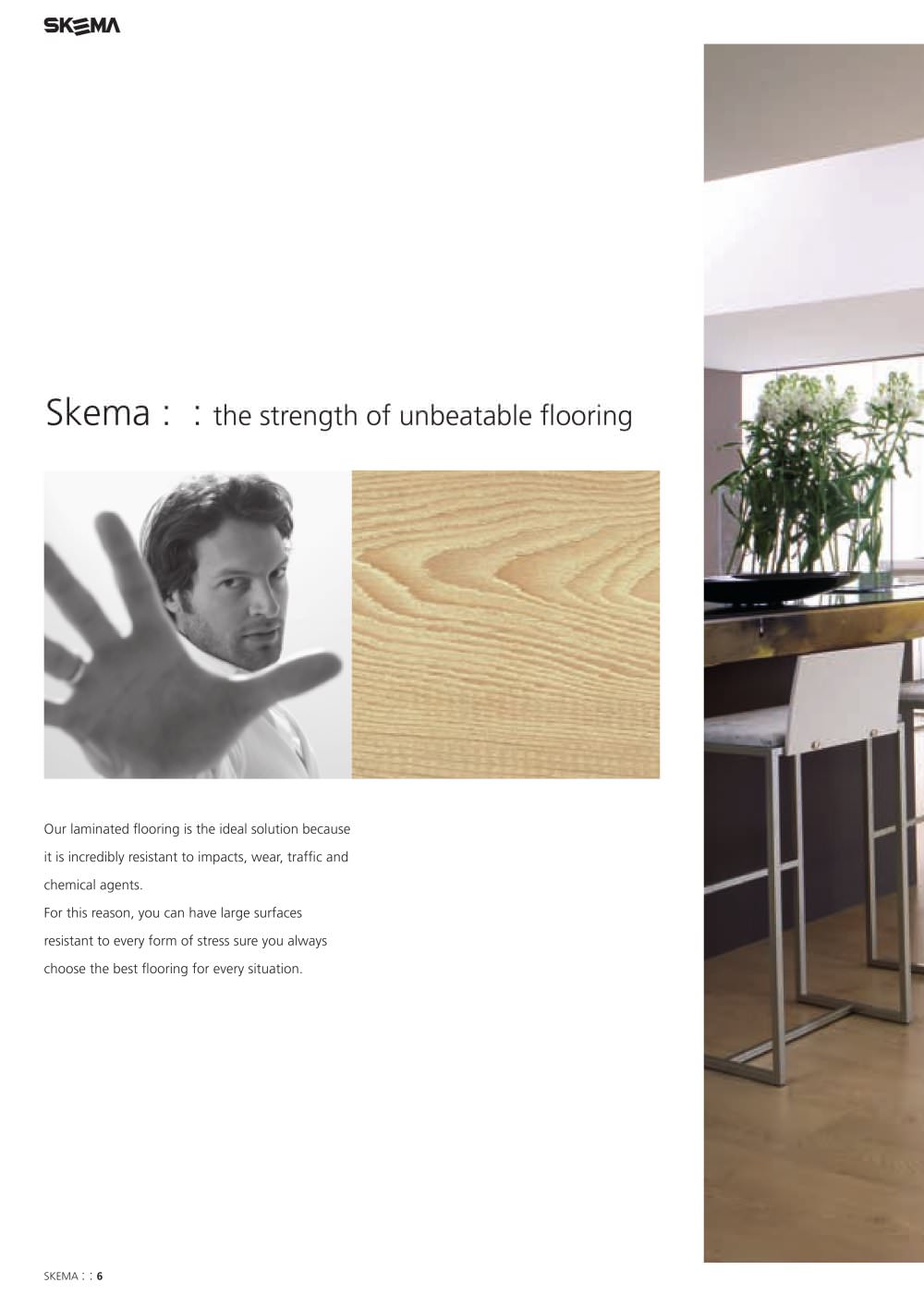 SKEMA - 