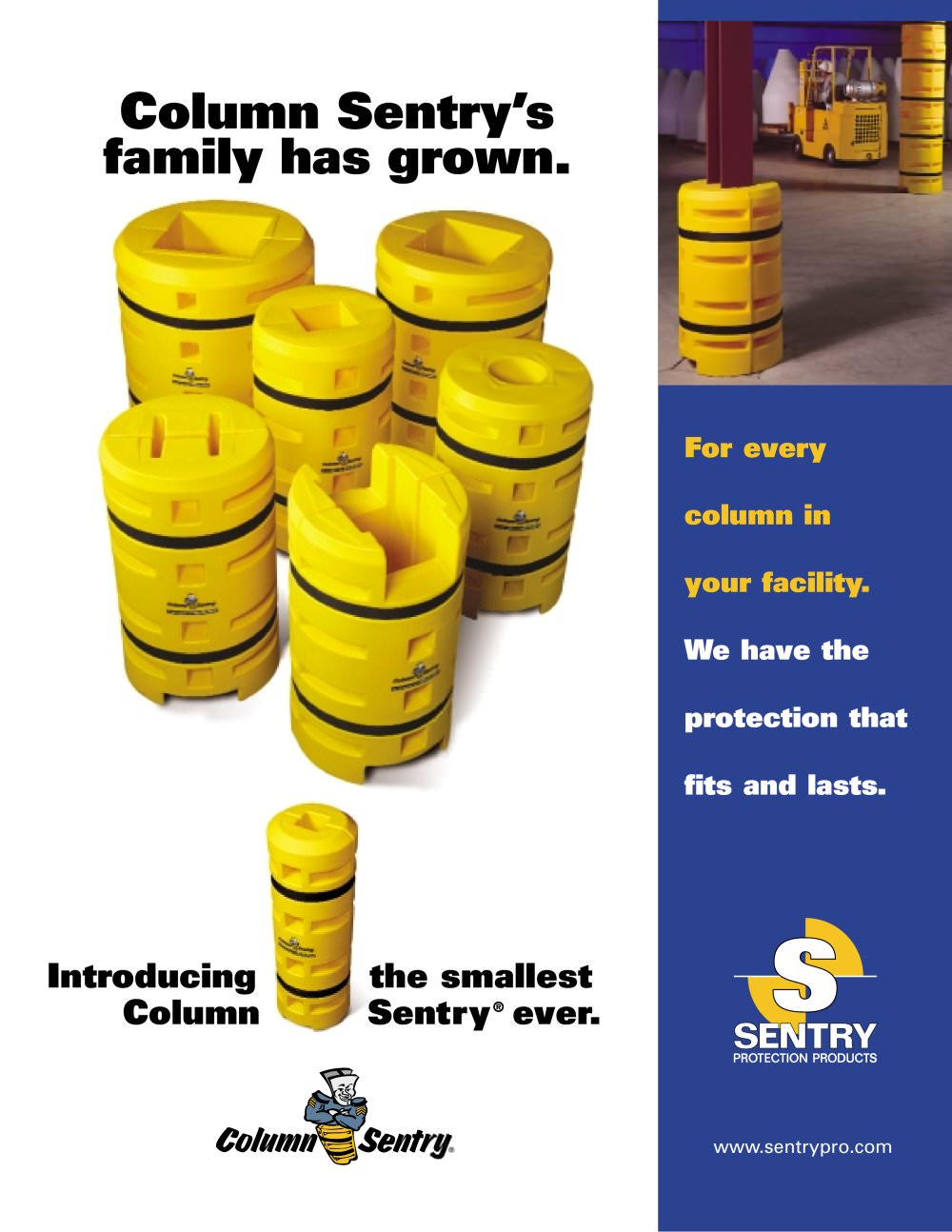 Sentry Protection - 
