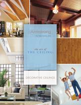 Decorative Ceilings