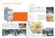  Cooking   700 mm depth   Gas and electric fryers  