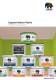 Brochure Caparol Interior Paints