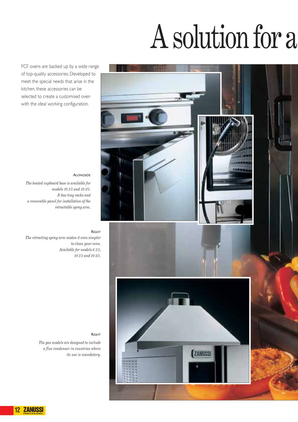 ZANUSSI PROFESSIONAL - 24344, 17247