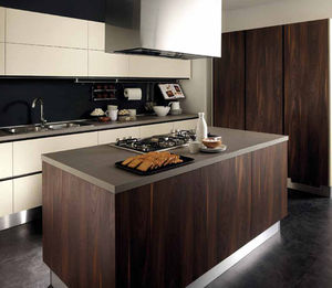 cozinha contemporânea / em madeira / em alumínio / com ilha