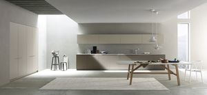 cozinha contemporânea / em madeira / lacada / fosca