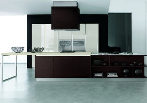 cozinha contemporânea / em inox / em madeira / com ilha