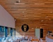 Strip suspended ceilings