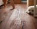 FSC-certified wood flooring