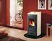 Pellet heating stoves