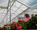 Commercial greenhouses