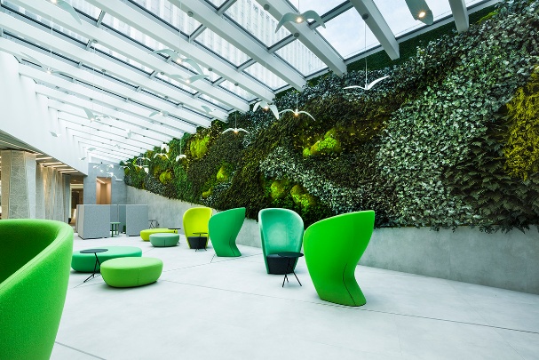 Greenarea Photo 8