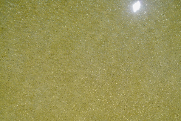 Diffazur Piscines Photo 4