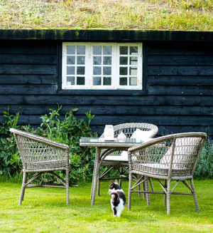 rattan-chair
