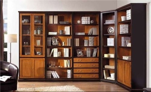 traditional-bookcase