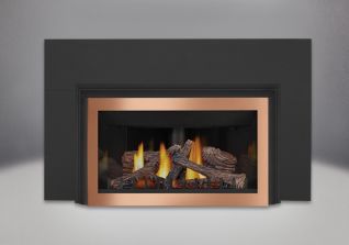 Gas Fireplace Insert Gdizc Napoleon Fireplaces