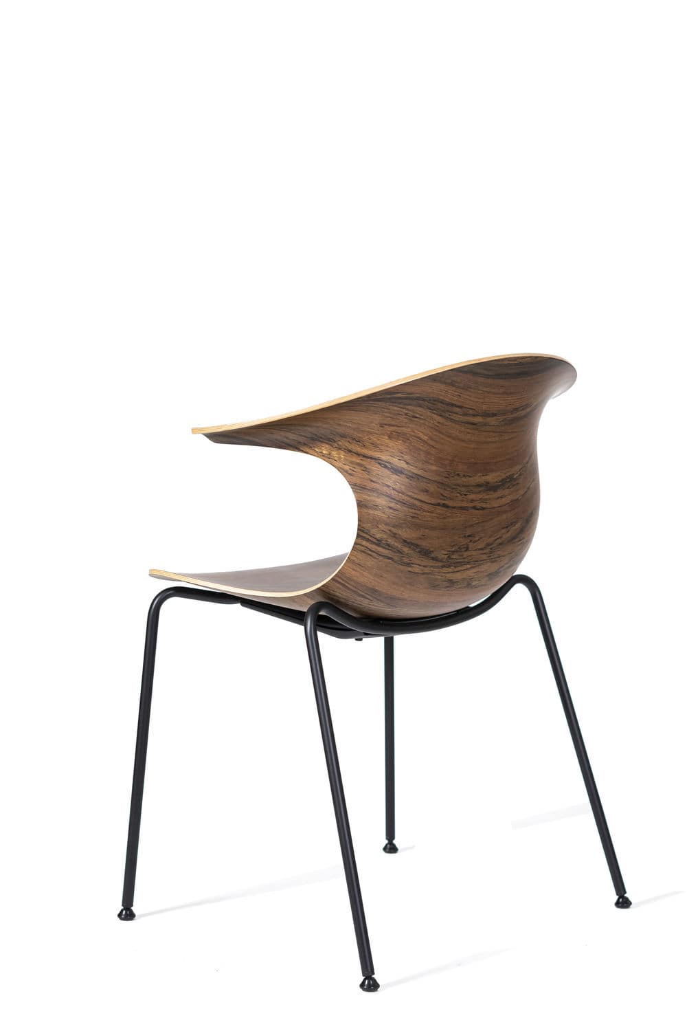 Contemporary chair - LOOP 3D - Infiniti - indoor / bentwood
