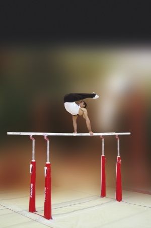 gymnova parallel bars