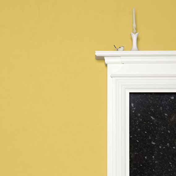 yellow ground farrow and ball