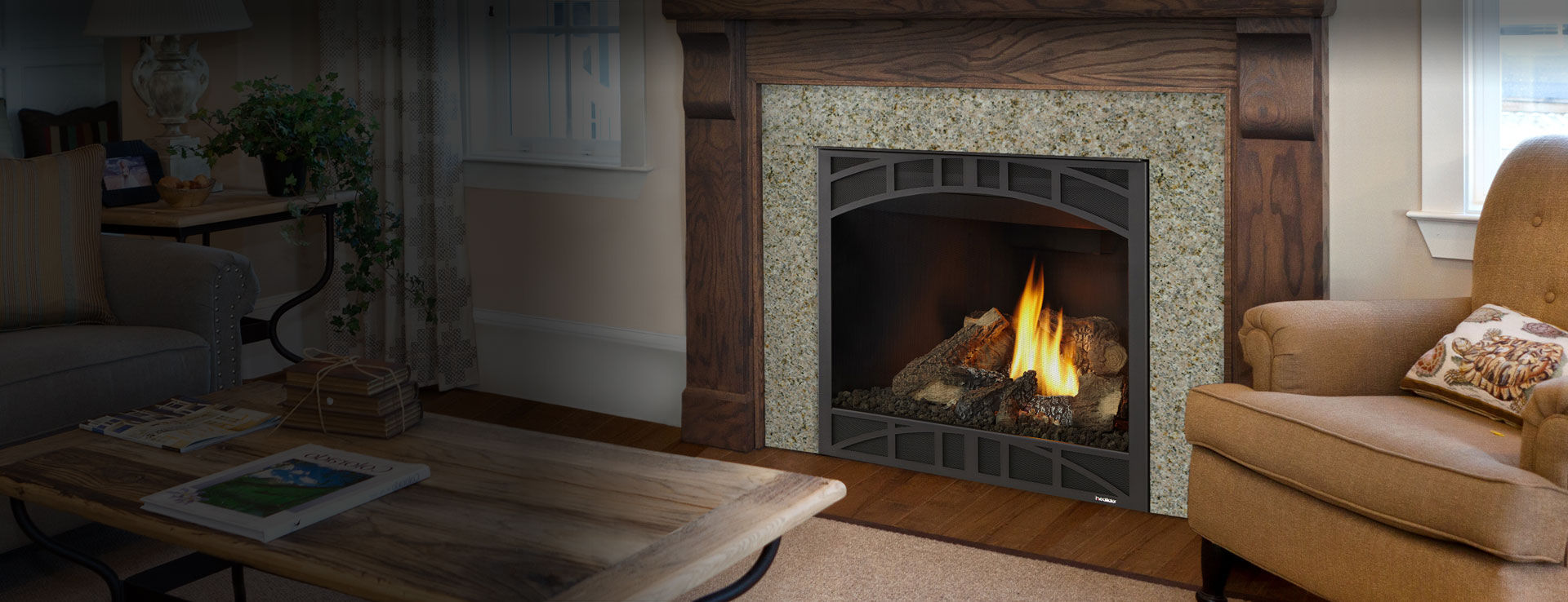 Gas Fireplace Traditional Closed Hearth Built In Novus