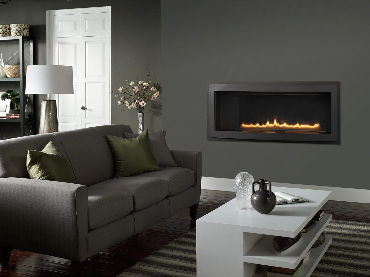 Gas Fireplace Contemporary Closed Hearth Built In Rave