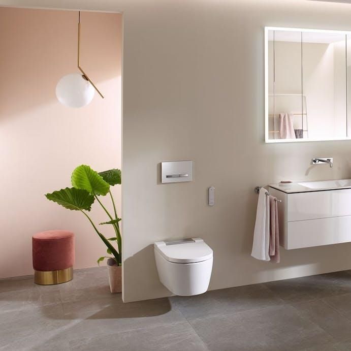 Double toilet flush plate - SIGMA50 - GEBERIT - home / commercial