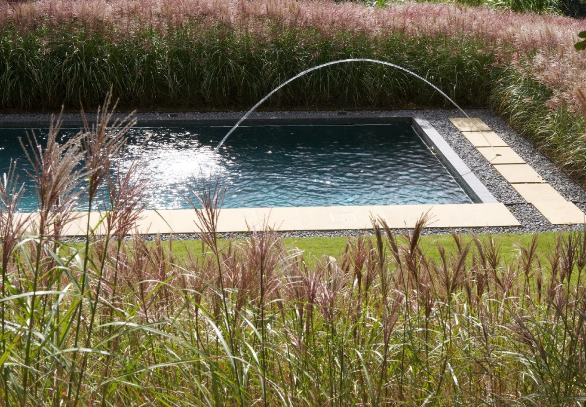 swimming pool in the ground