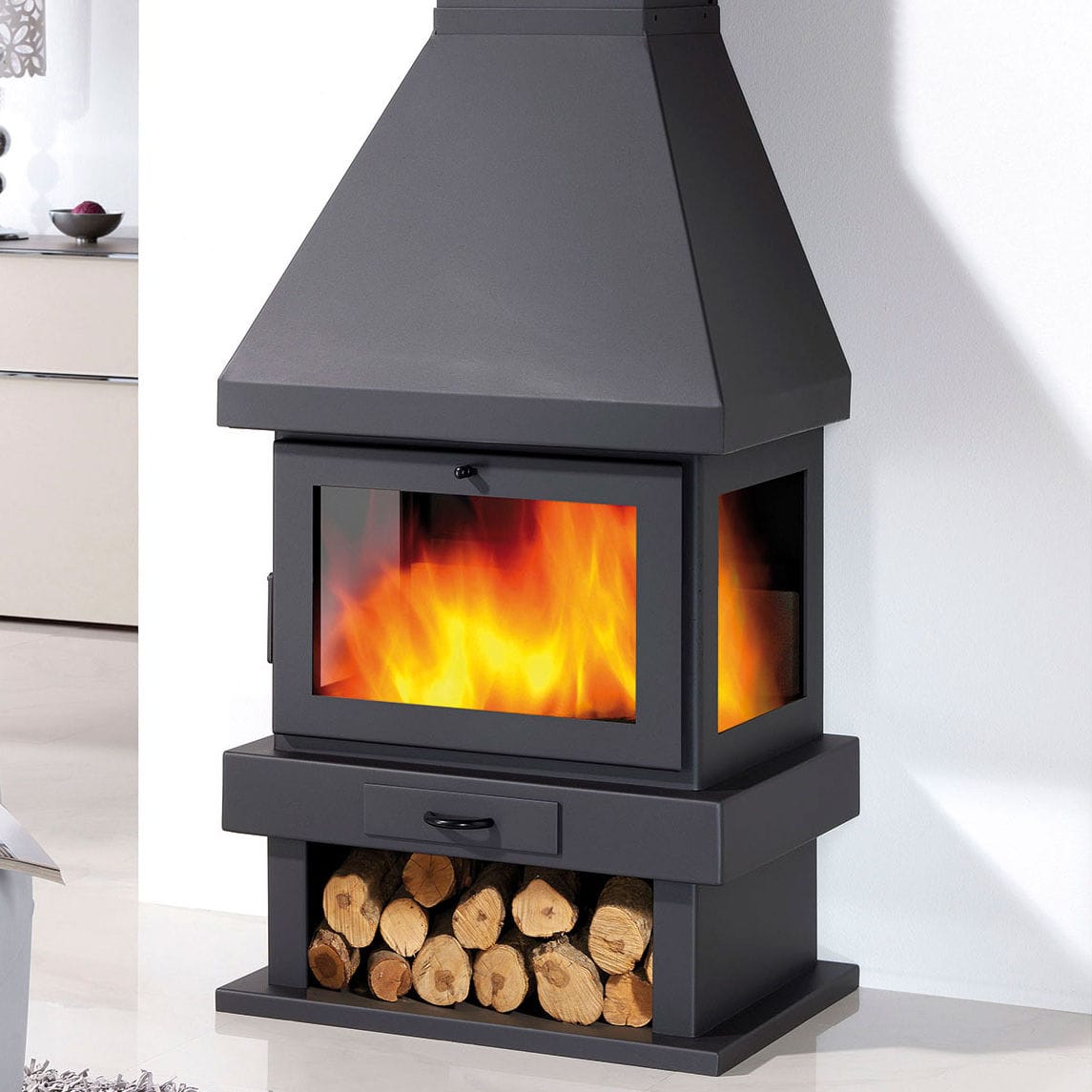 Wood Burning Fireplace Contemporary Closed Hearth 3 Sided